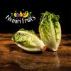Salades sucrine