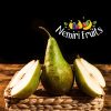 Poire Conférence