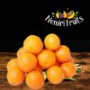 Orange à jus