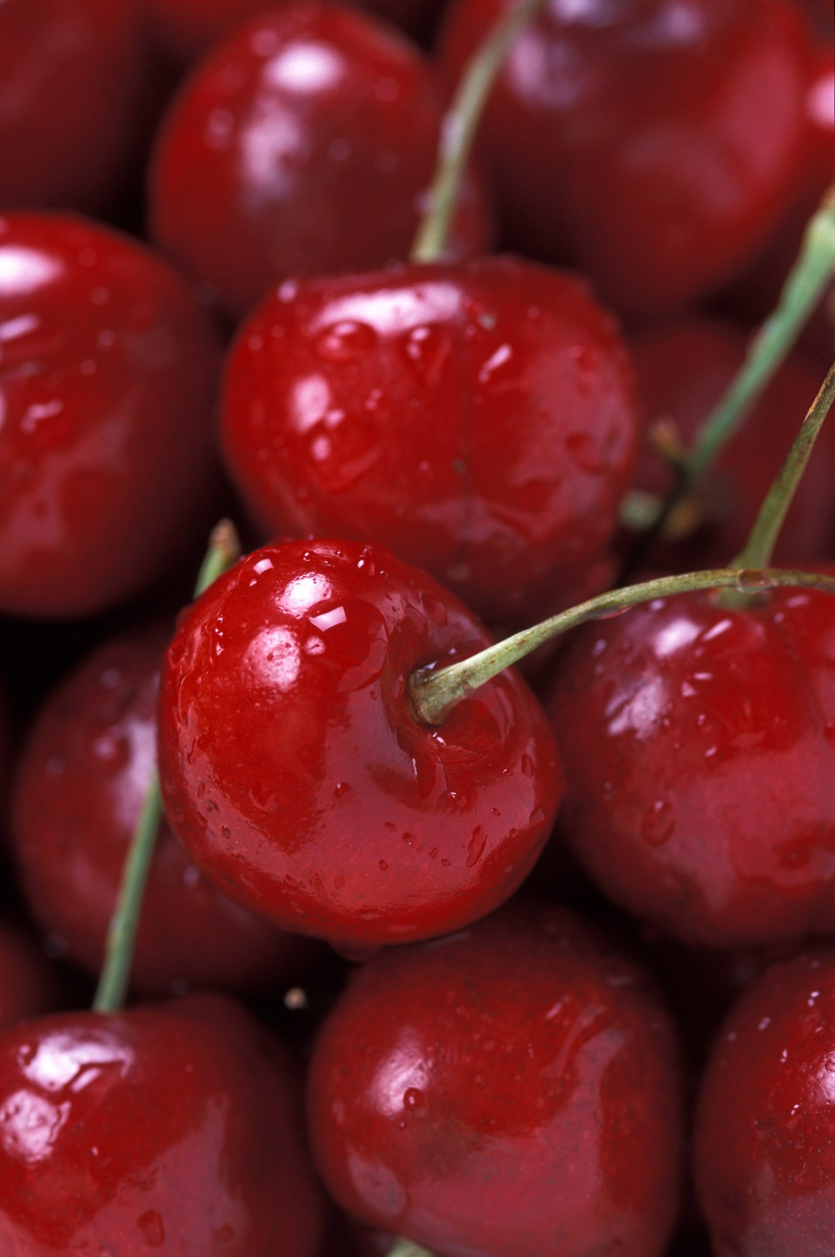 Cerises