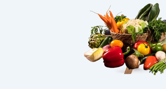 shop-banner-01-1-logo